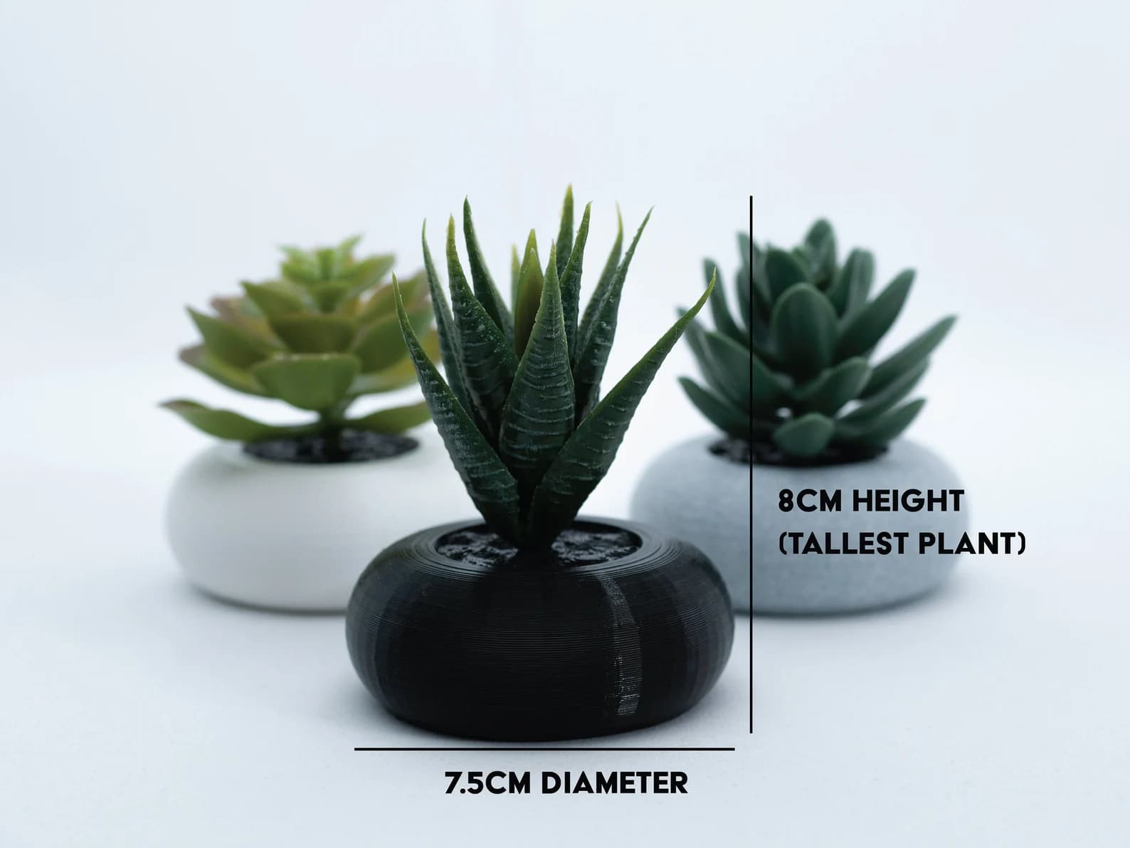 Desk Succulent in Engraved Pot — personalised corporate gift