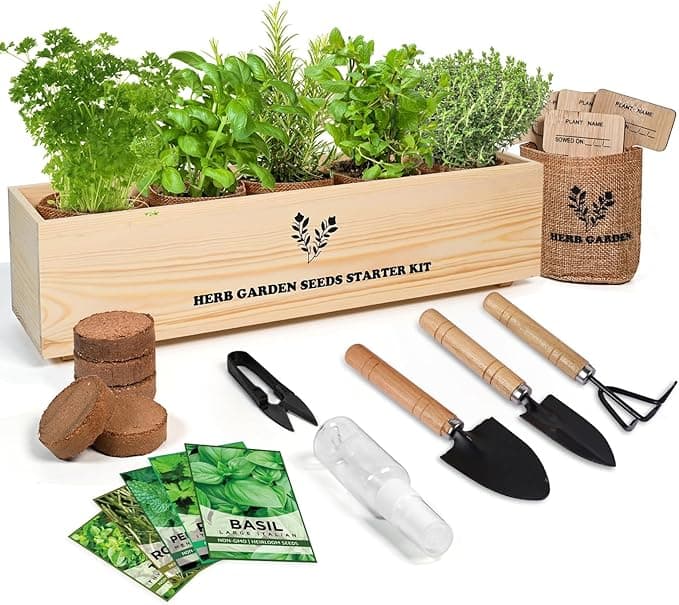 Terracotta Planter Kit — personalised corporate gift